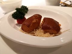 -新同乐鱼翅酒家(美丽华店)