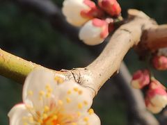 -莘庄公园