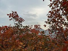 -周口店坡峰岭风景区