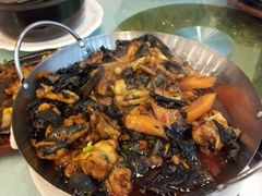 黄山双石（石鸡、石耳）-黄山阿拉酒店(黄山风景区换乘中心店)