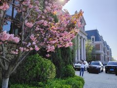 -大连海昌东方水城