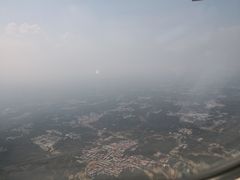 香酥羊排-特味村福园