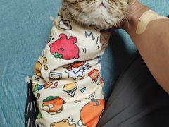 -宠福鑫动物医院(城北分院)