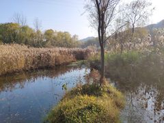 -西湖风景区-江洋畈生态公园