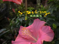 -上海辰山植物园