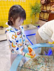 点击看大图 -神奇动物撸宠馆·羊驼·小浣熊·异宠(豫园店)