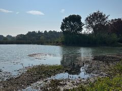 -贡湖湾湿地公园