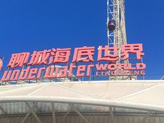 -聊城海底世界