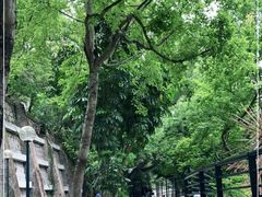-九龙公园