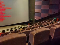 -金逸影城(武汉人信汇IMAX店)