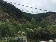 -四明山国家森林公园