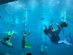 -瑞德姆美人鱼海底演艺主题餐厅(亚龙湾店)