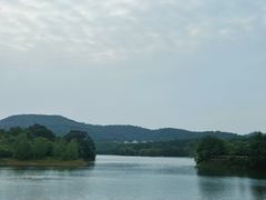 -佛手湖郊野公园