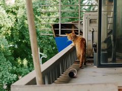 -工页咖啡X COFFEE(龙东路店)