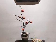 -铁道茶苑.色稷餐厅(莲花南路店)