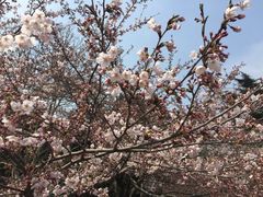 -王记西鎮电烤肉(汶上路店)