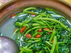蚝汁西洋菜-蚝家菜馆(沙井店)