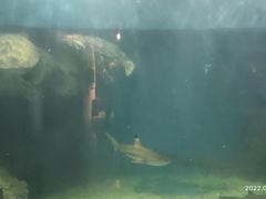 -上海长江河口科技馆