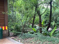 -东明山森林公园