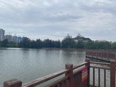 -五缘湾湿地公园
