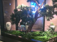 -绿茶餐厅(成都大悦城店)