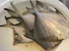 -咕叽咕叽自助烤肉小火锅(西城广场购物中心店)