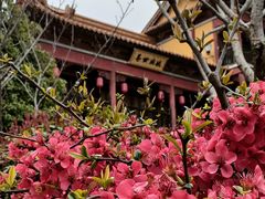 -方山风景区定林寺