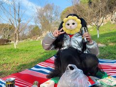 -林屋梅海青梅保护基地