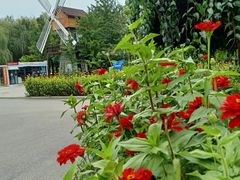 -长春公园(普阳街道)