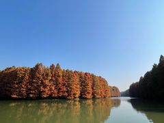 -上海海湾国家森林公园