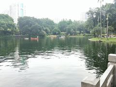 -晓港公园