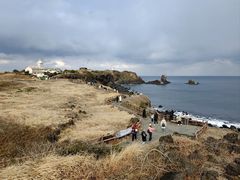 -涉地可支