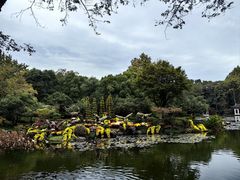 -杭州植物园
