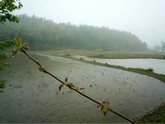 -塔川景区