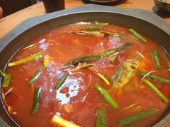 -新凯里酸汤鱼(飞山街店)