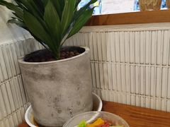 -禅悦素食