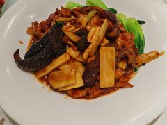 -新侨小馆(东直门北小街店)