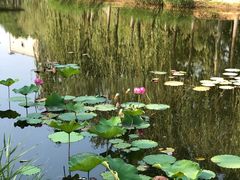 -中关村生命科学园