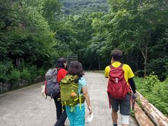 -雾灵西峰
