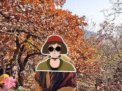 -北京十三陵国家森林公园蟒山景区