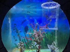 -左海海底世界