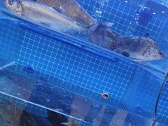 -古尚锦酒楼·水上餐厅
