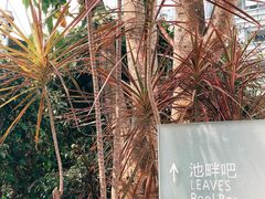 -深圳星河丽思卡尔顿酒店