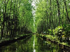 -合肥滨湖国家森林公园