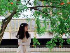 -龙潭水乡