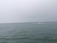 -栈桥景区