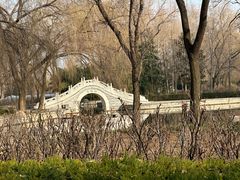 -洛阳市隋唐城遗址植物园