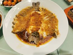 -三强鸽子(中原路店)