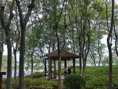 -金银湖国家城市湿地公园