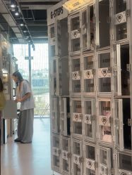 -G-STEPS舞蹈工作室